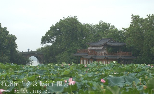 曲苑風荷_曲苑風荷旅游活動策劃咨詢-杭州伍方會議服務有限公司